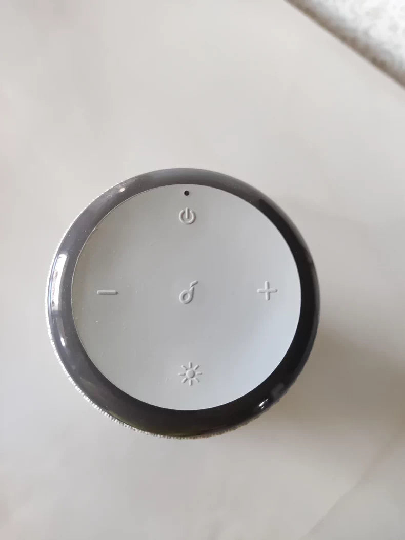Anker Soundcore Flare 2