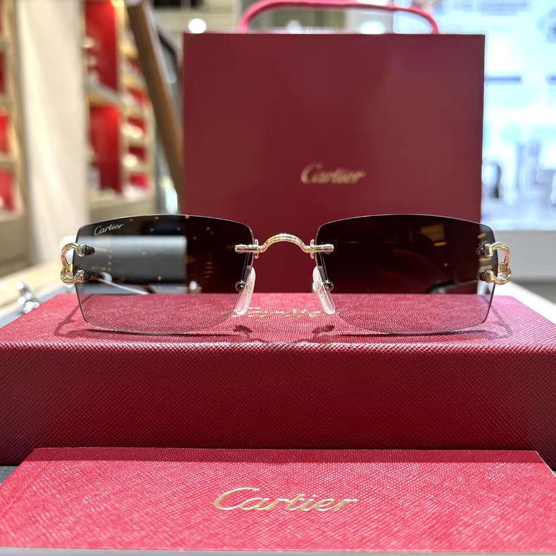 Cartier CT0550S sunglasses