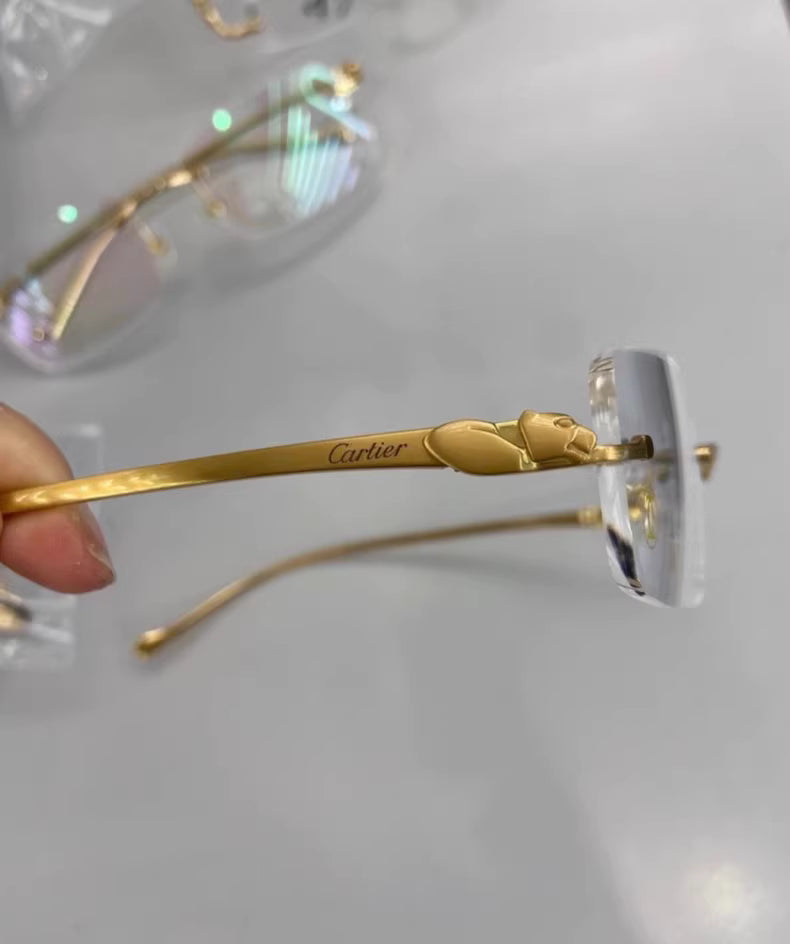 Cartier CT0061O Glasses Frame
