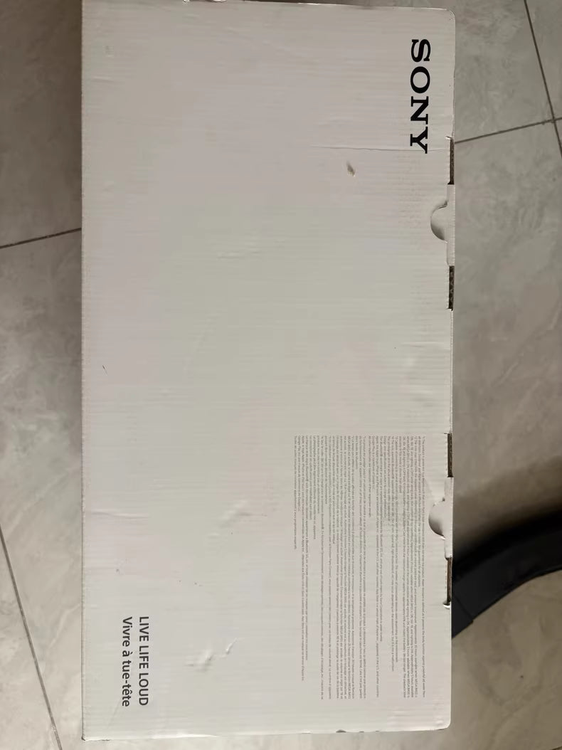Sony SRS-XG500