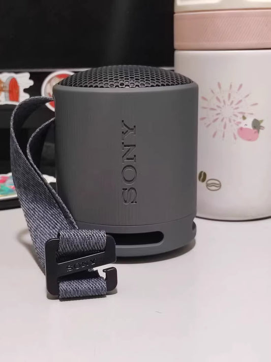 Sony SRS-XB100