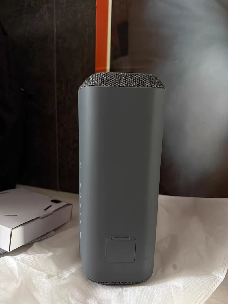 Sony SRS-XE300