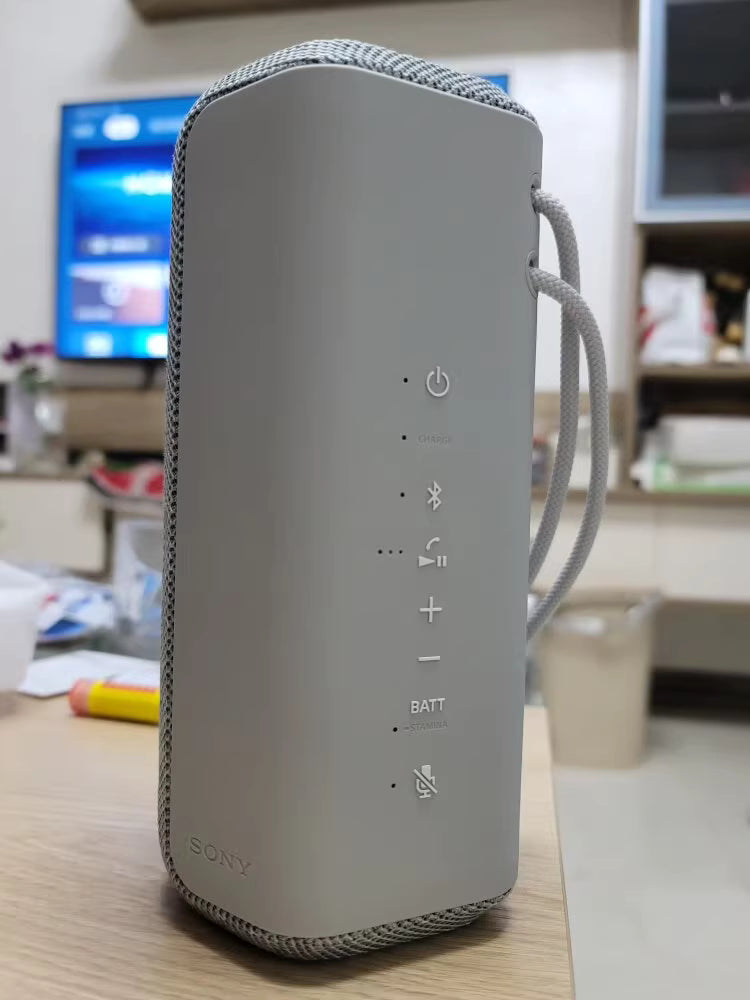 Sony SRS-XE200