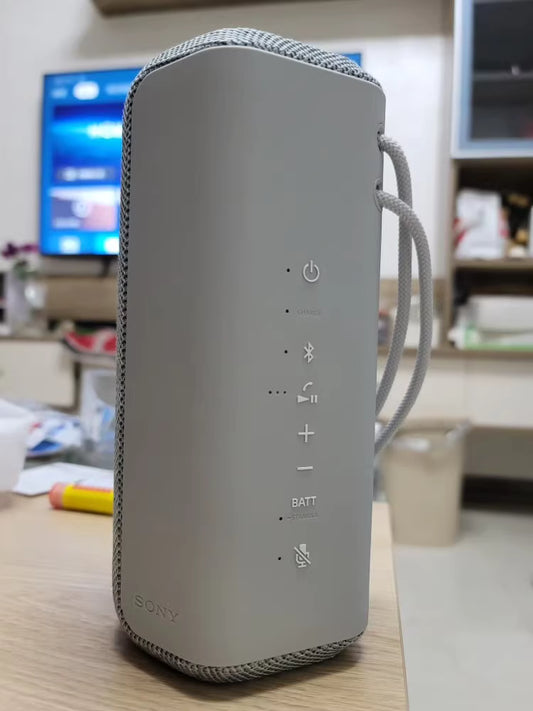 Sony SRS-XE200