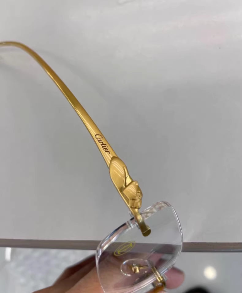 Cartier CT0061O Glasses Frame